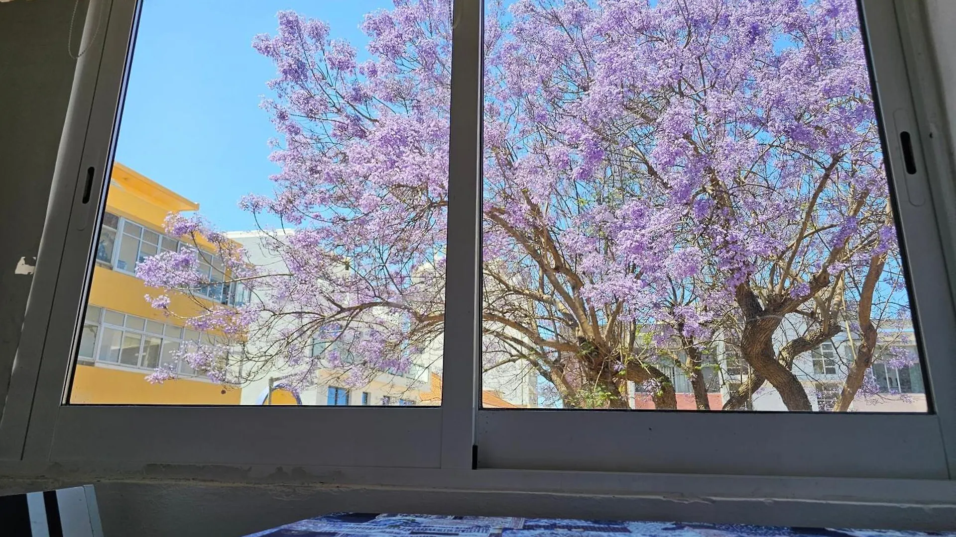 Apartment Blife Farensya Private Rooms Faro